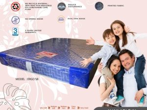 Ergo 58 Queen Size Mattress 2